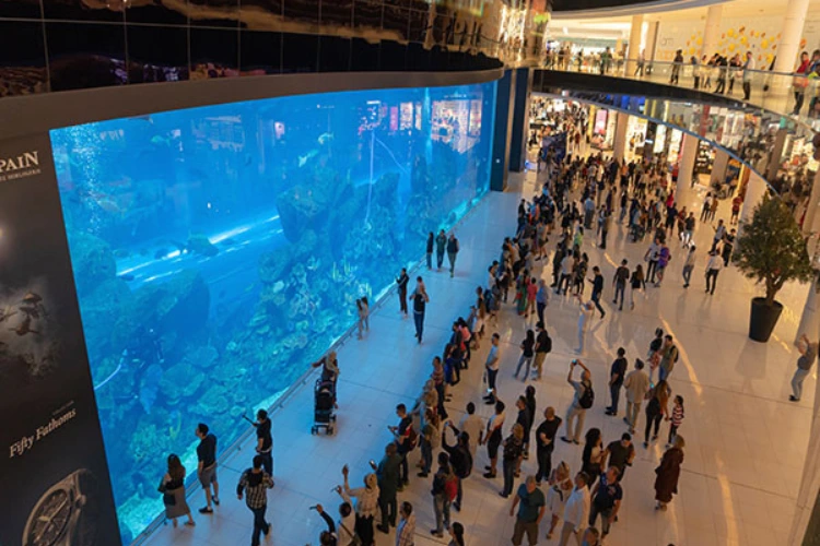 Dubai Mall and Dubai Aquarium