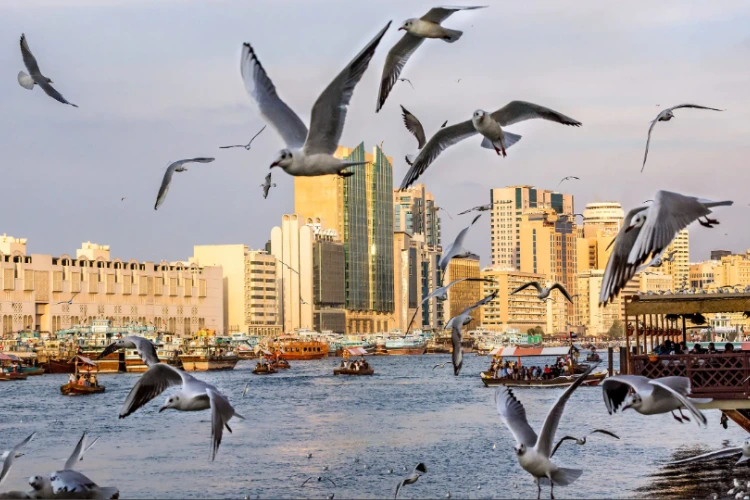 Deira in dubai