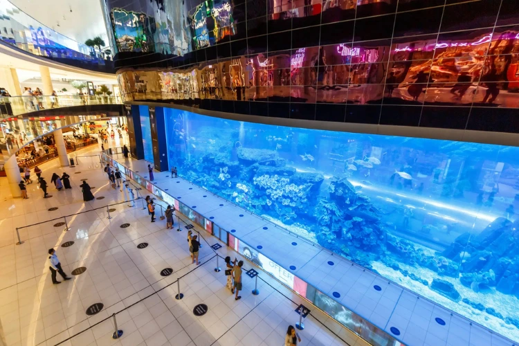 Dubai Aquarium