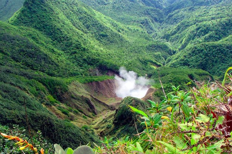 Dominica