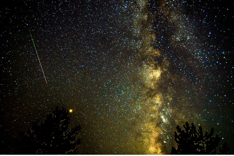 Stargazing Trips