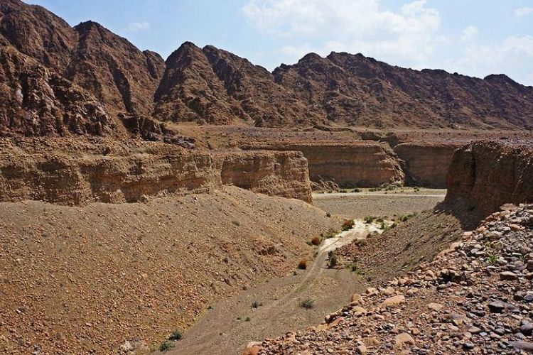 Wadi Wurayah (Fujairah)