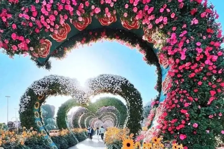 Dubai Miracle Garden