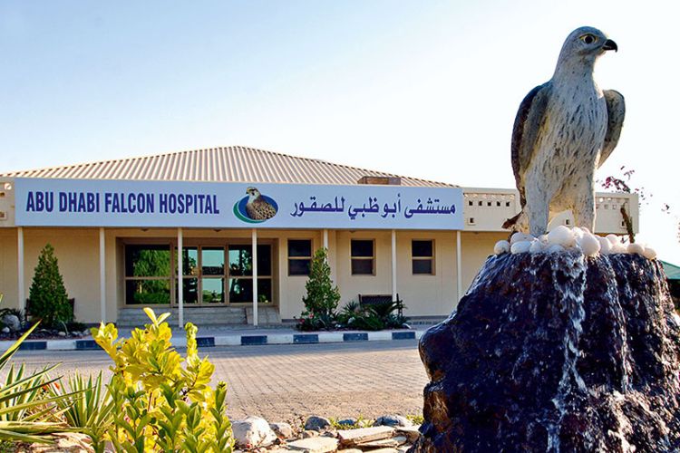 Abu Dhabi Falcon Hospital