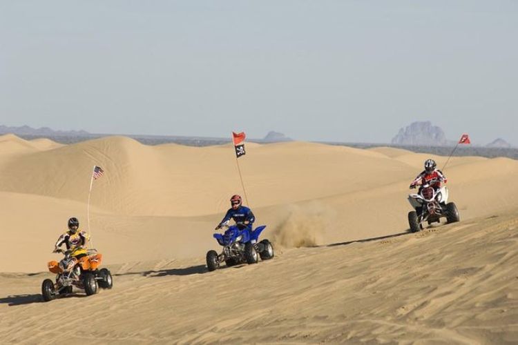 Quad Biking in the Abu Dhabi Desert
