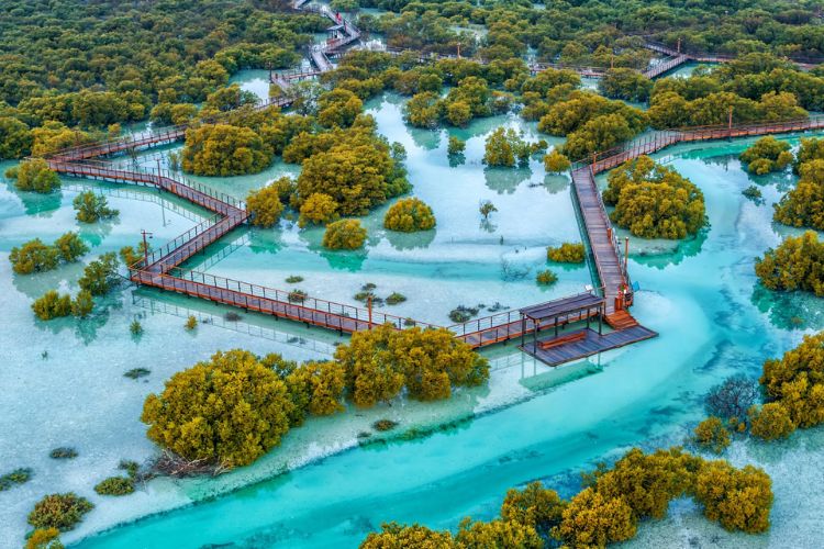 jubail mangrove park abu dhabi